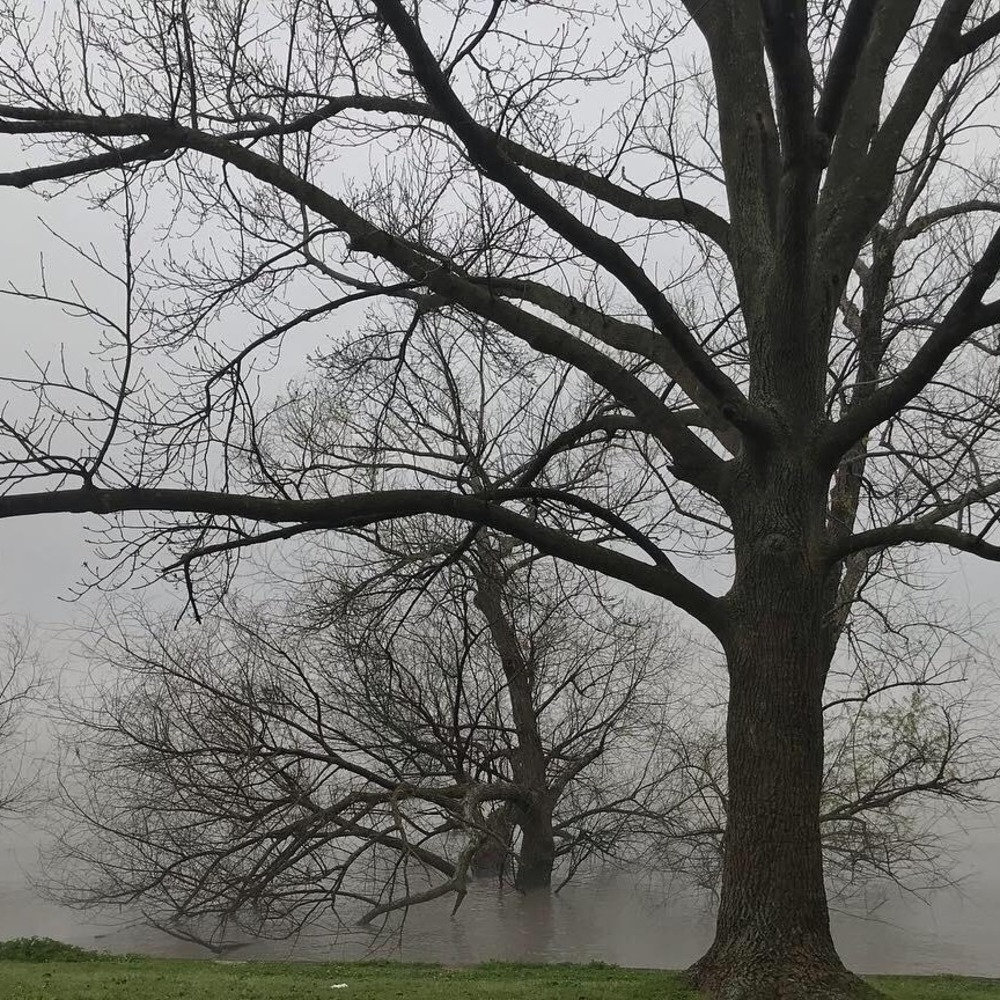 Meet your Posher, Meredith